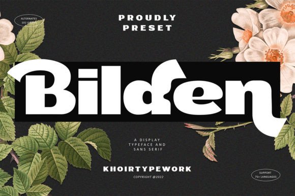 Bilden Free Download: The Ultimate Guide to This Bold Display Font