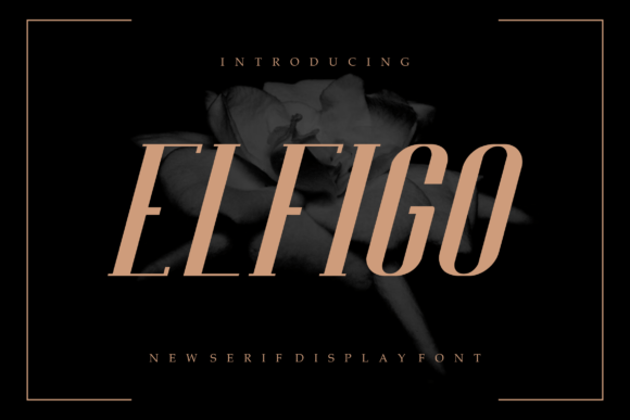Elfigo Font Review: Modern Display for Designers